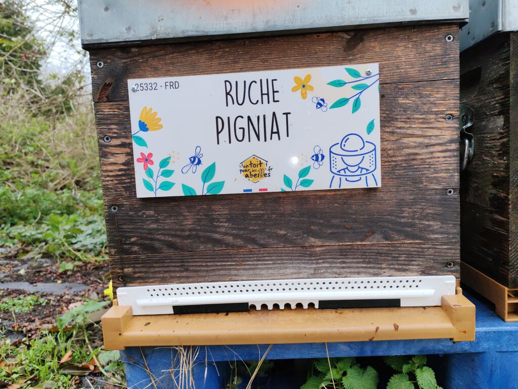 La ruche Pigniat