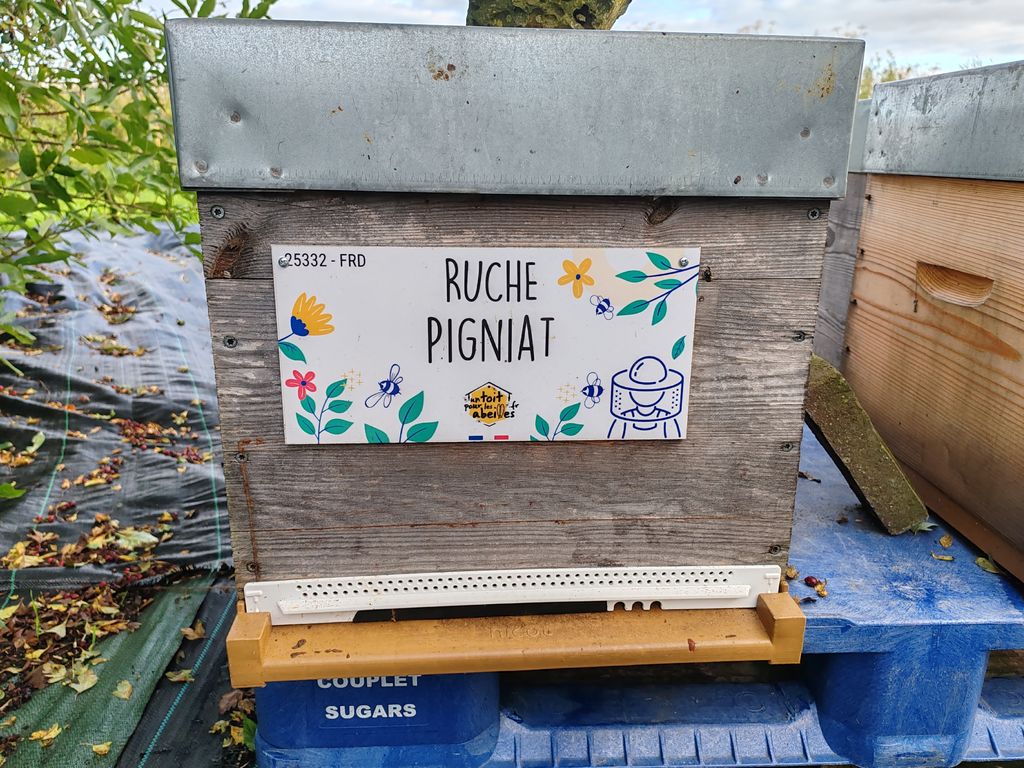 La ruche Pigniat