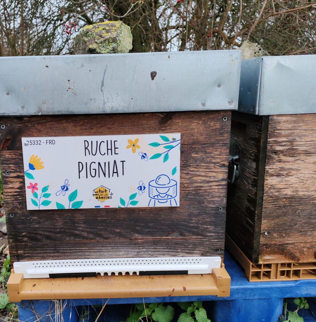 La ruche Pigniat