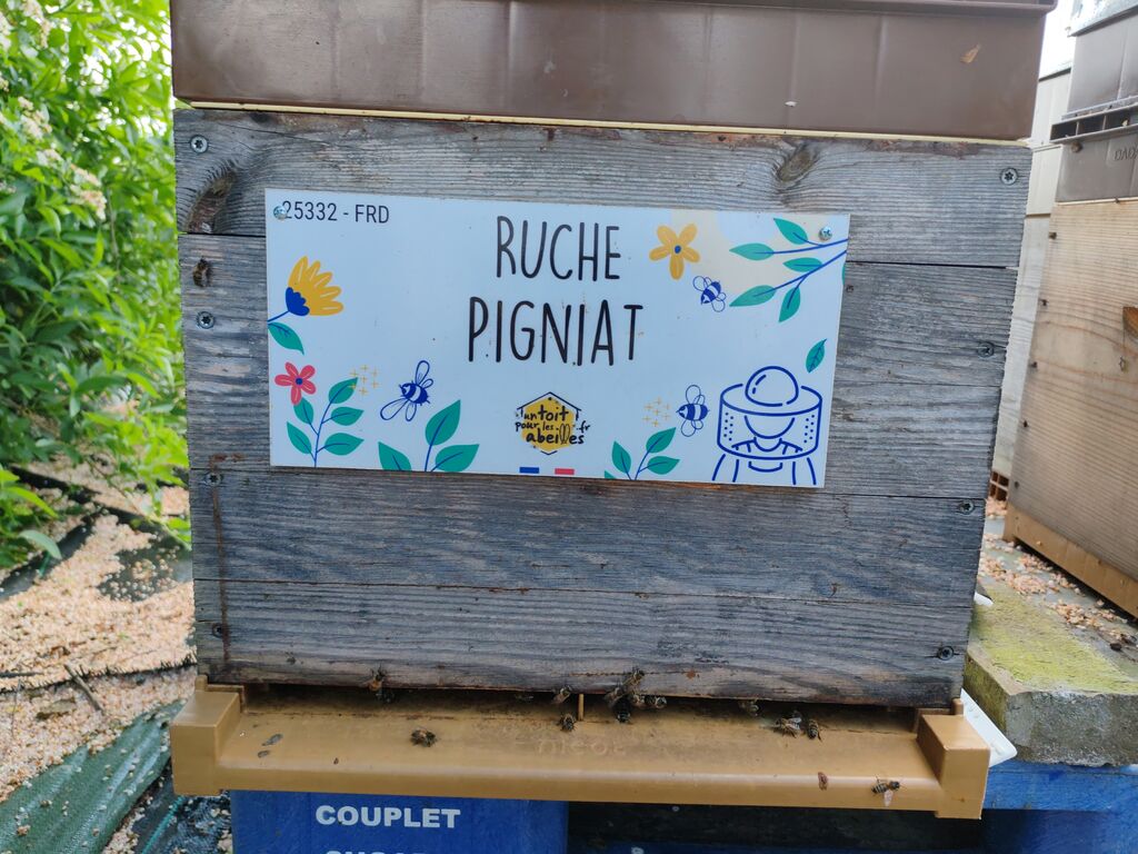 La ruche Pigniat