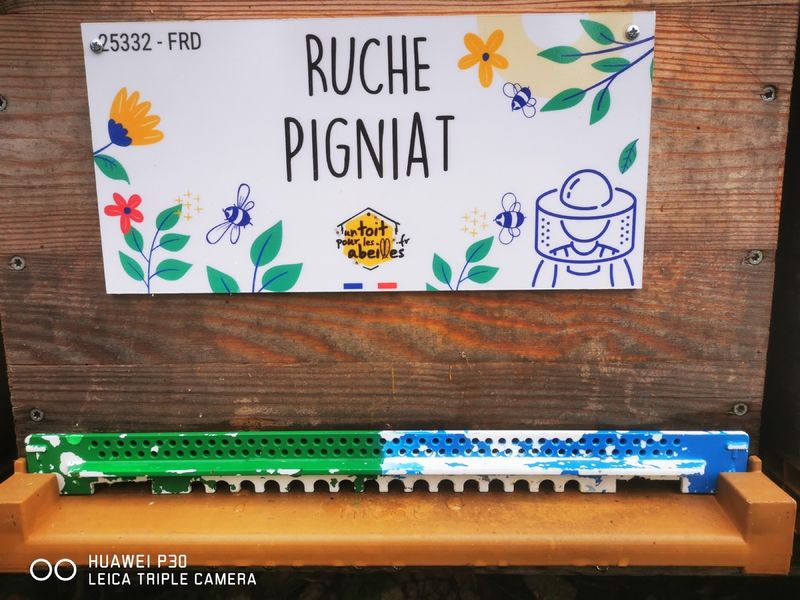 La ruche Pigniat
