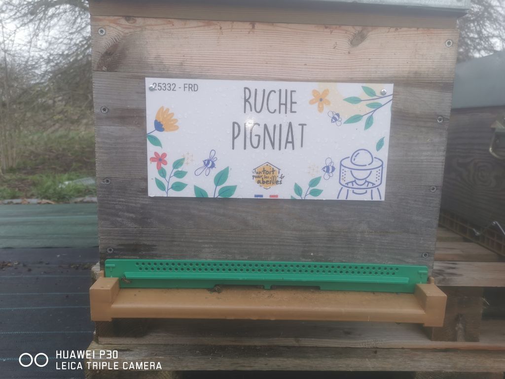 La ruche Pigniat