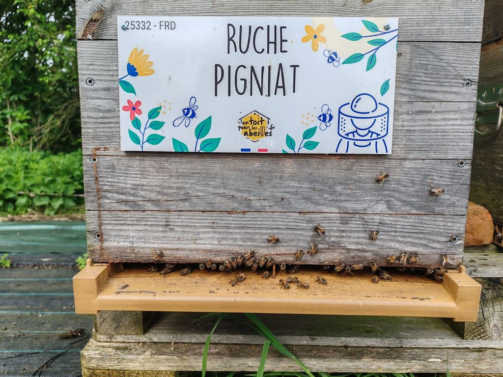 La ruche Pigniat