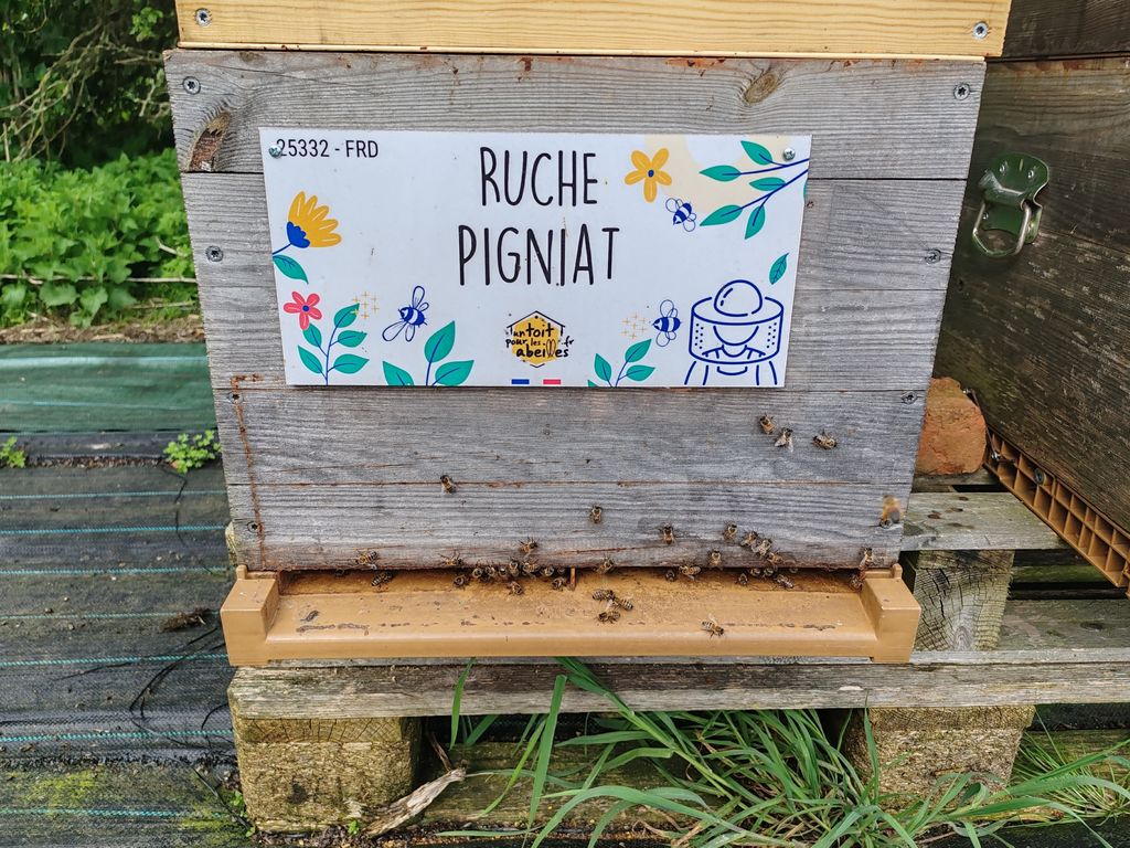 La ruche Pigniat