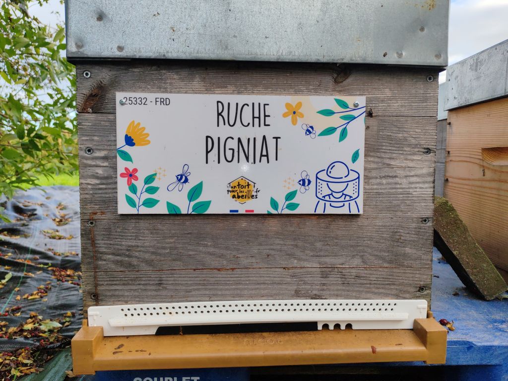 La ruche Pigniat