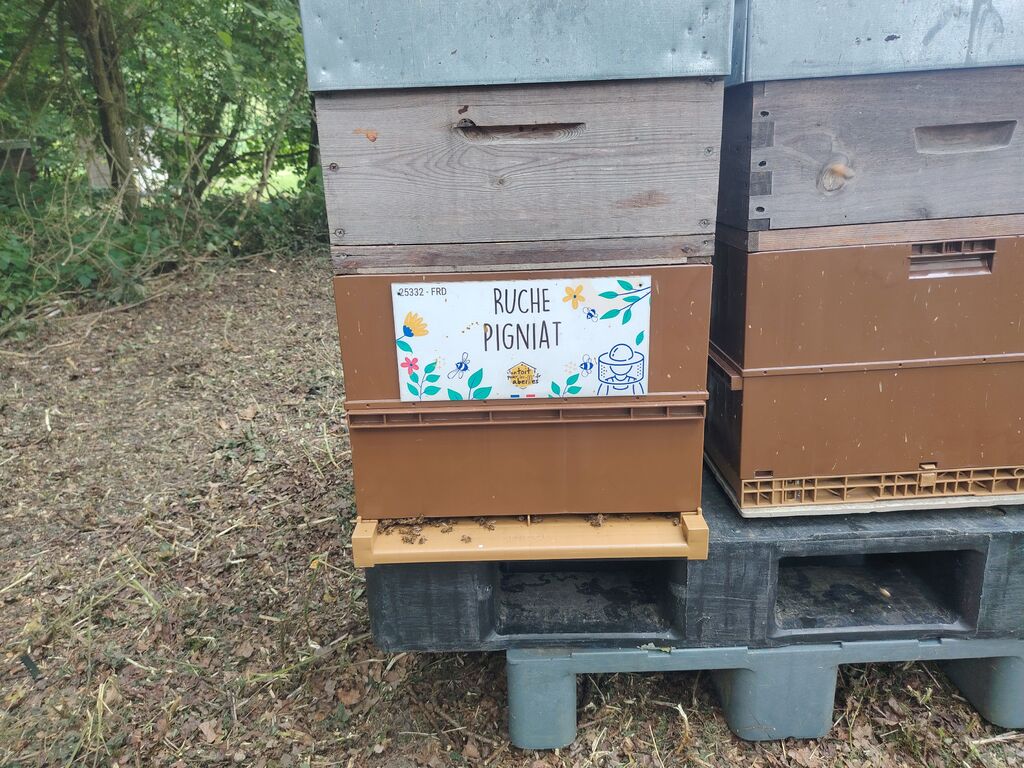 La ruche Pigniat