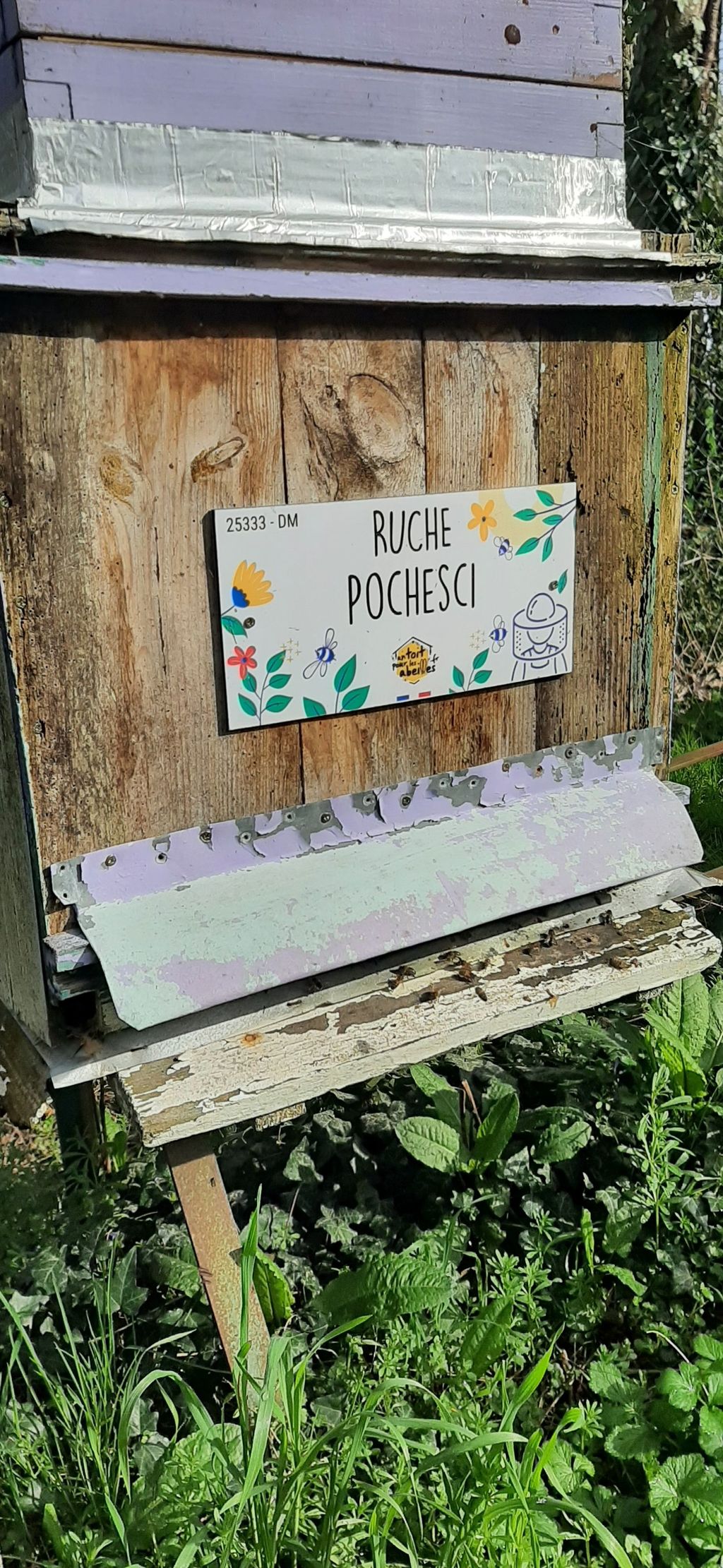 La ruche Pochesci