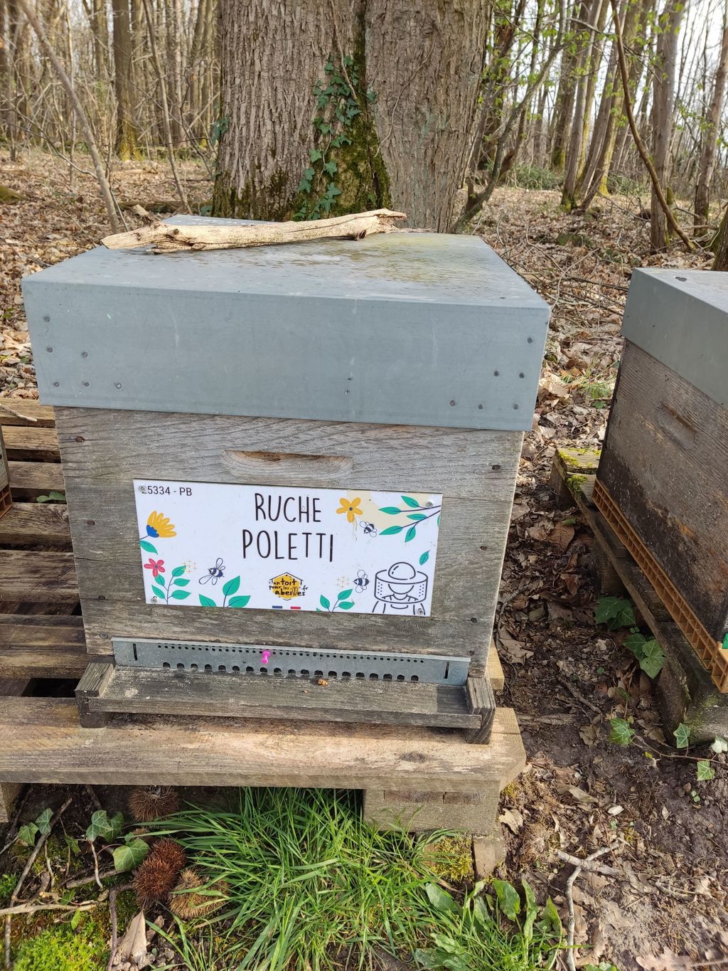 La ruche Poletti