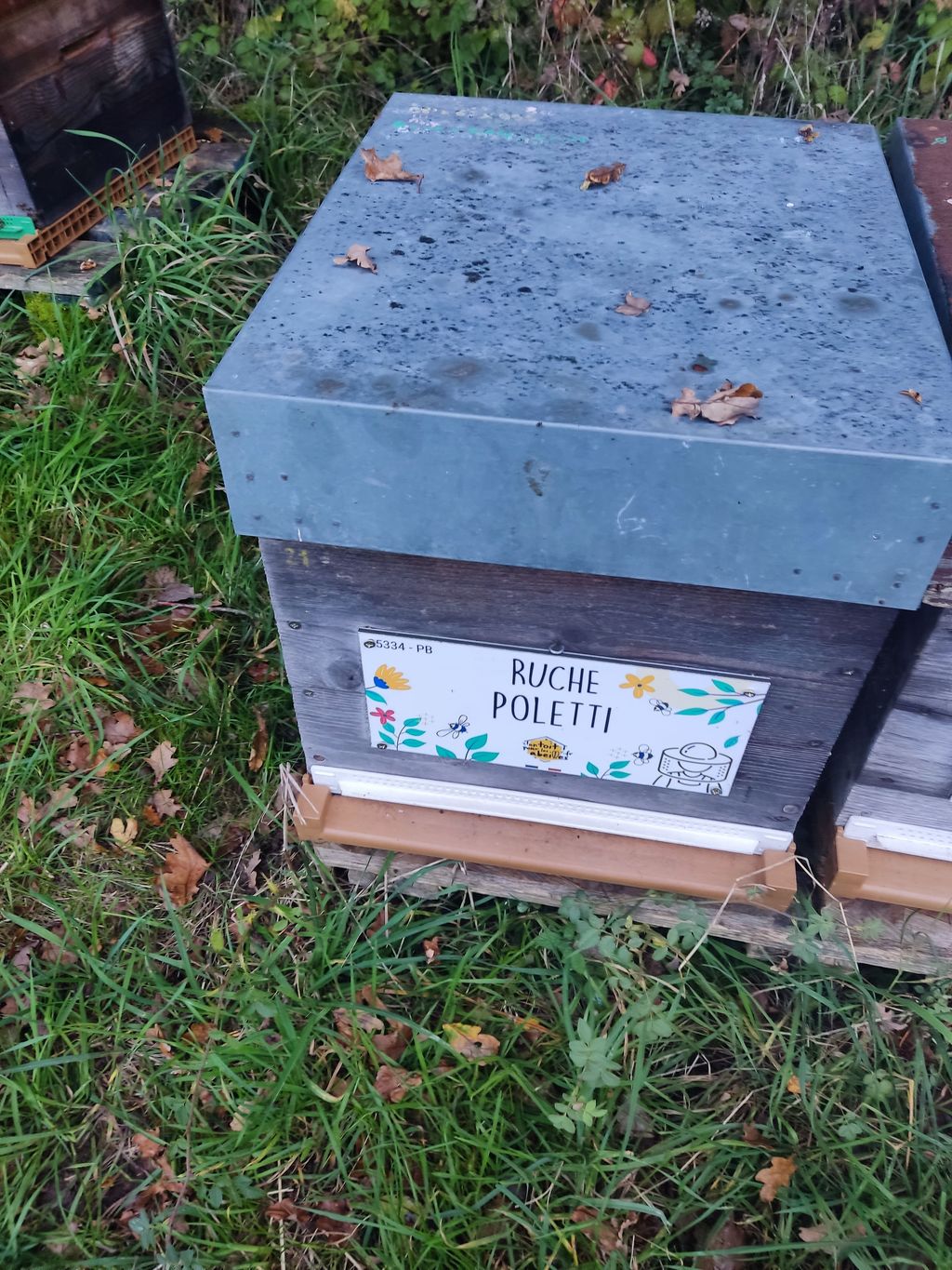 La ruche Poletti
