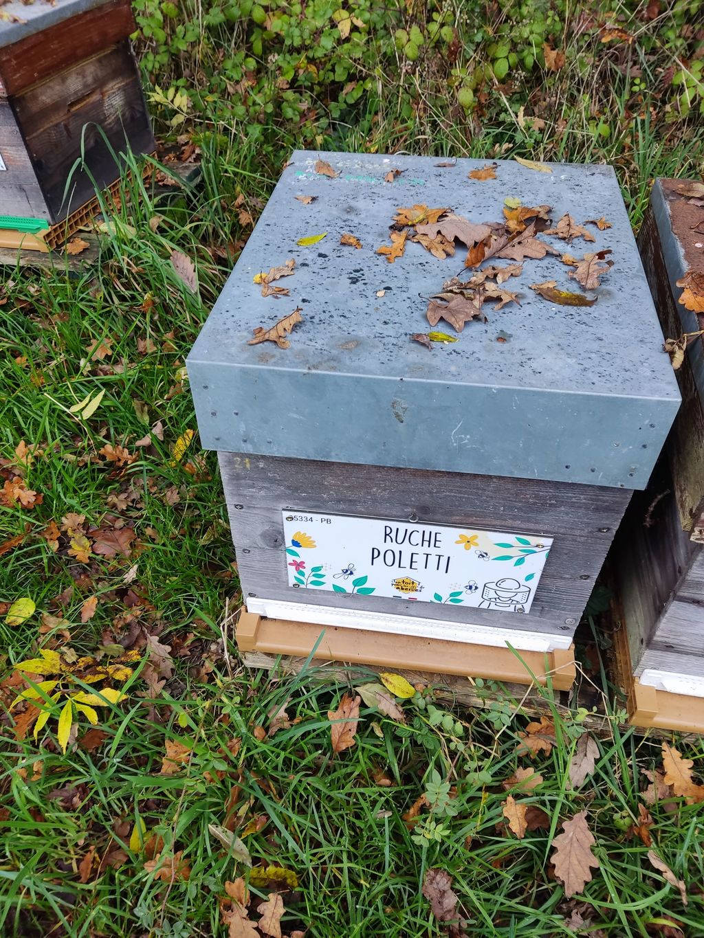 La ruche Poletti