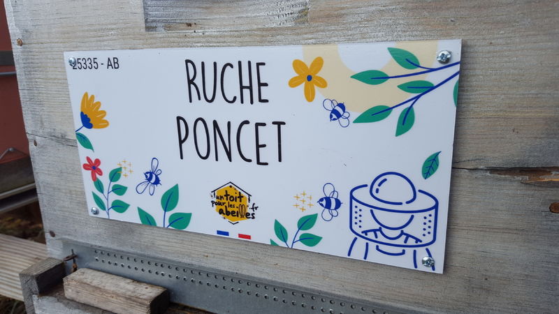 La ruche Poncet