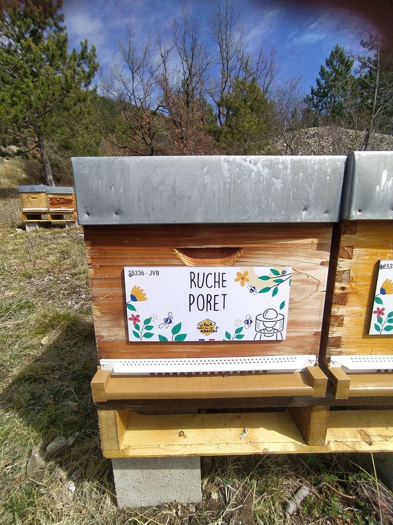La ruche Poret