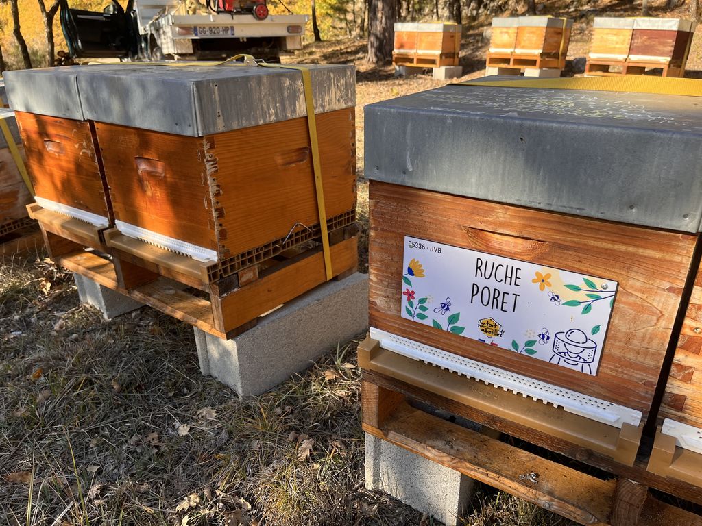 La ruche Poret
