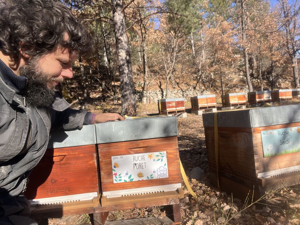 La ruche Poret