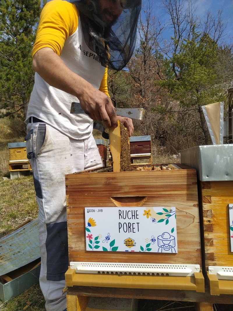 La ruche Poret
