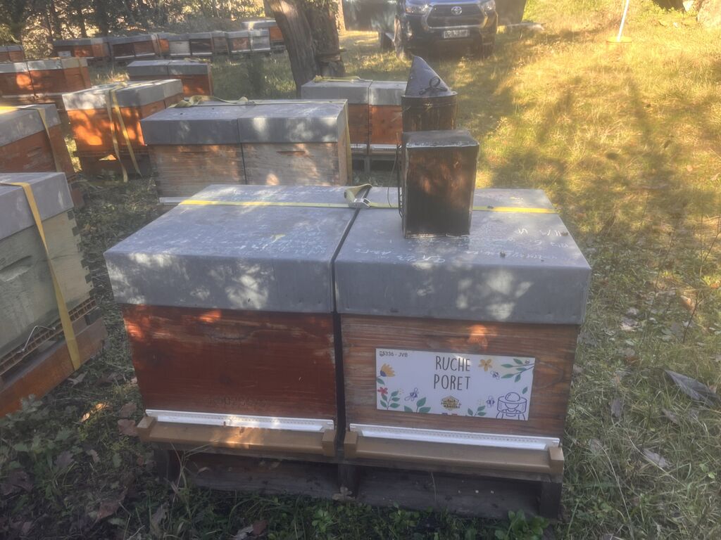 La ruche Poret