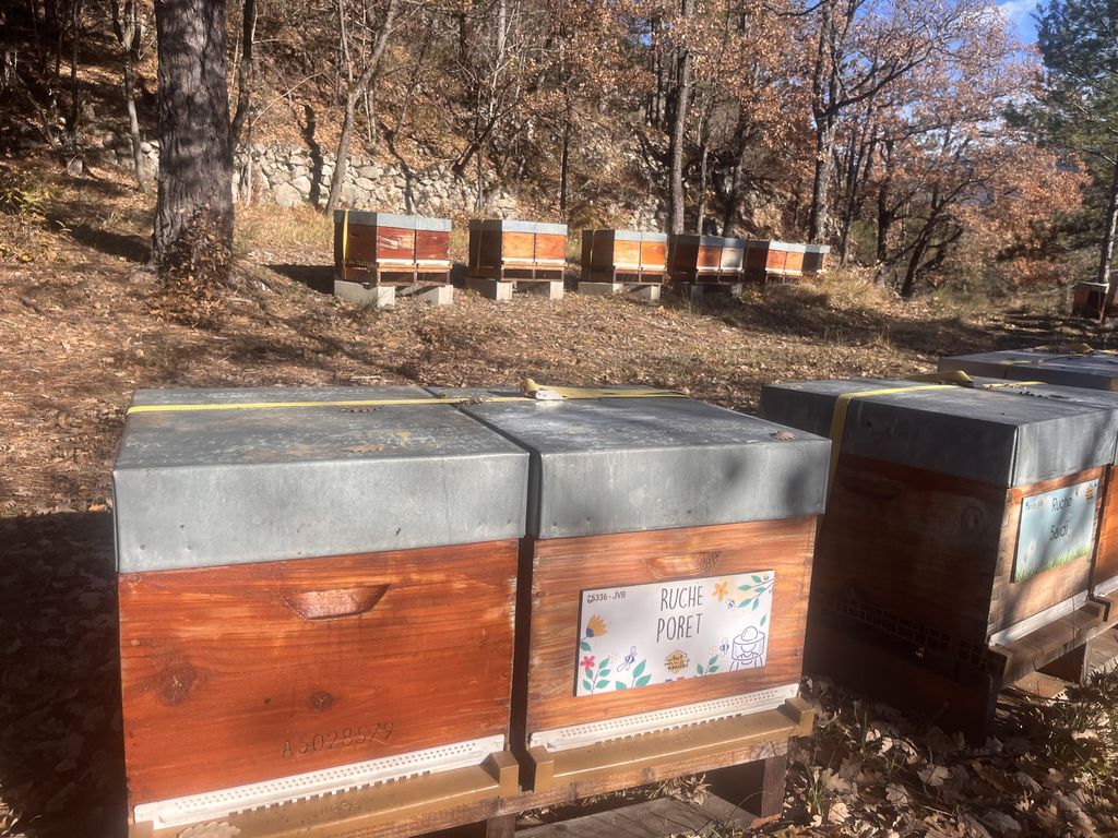 La ruche Poret