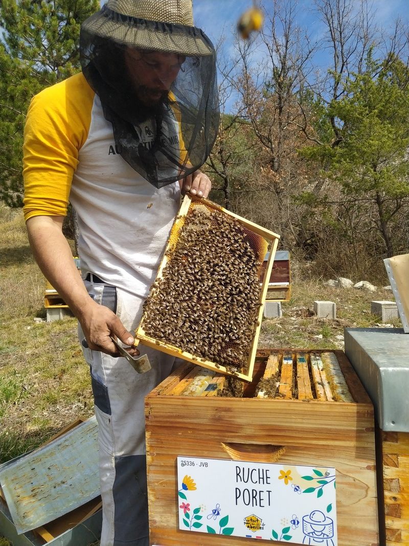 La ruche Poret