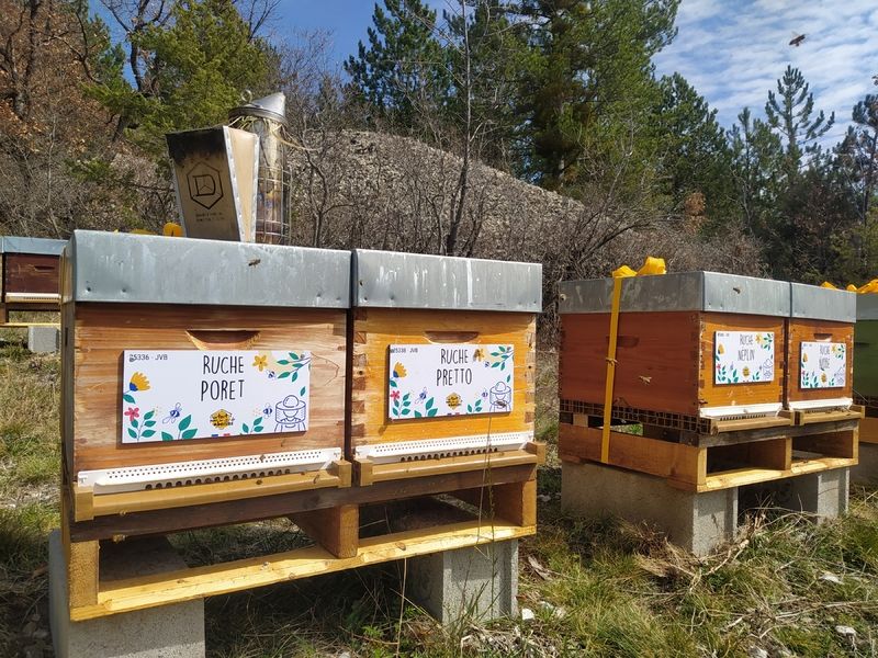 La ruche Poret