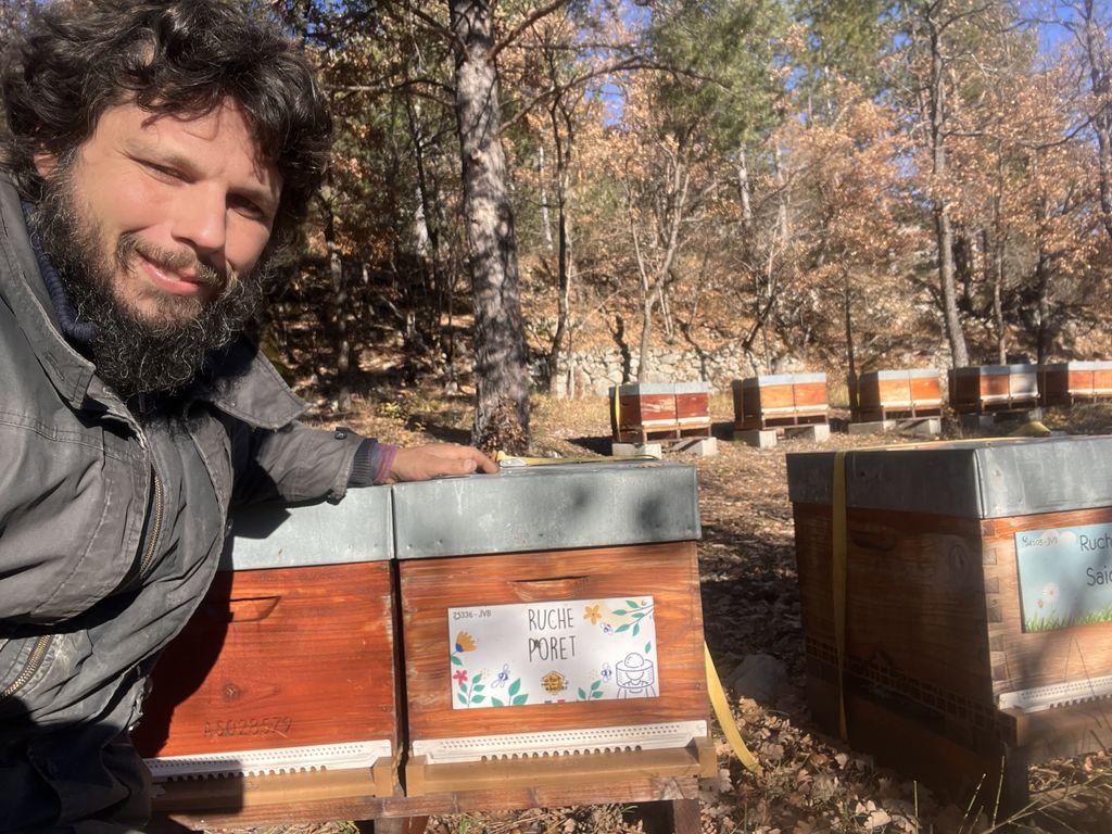 La ruche Poret