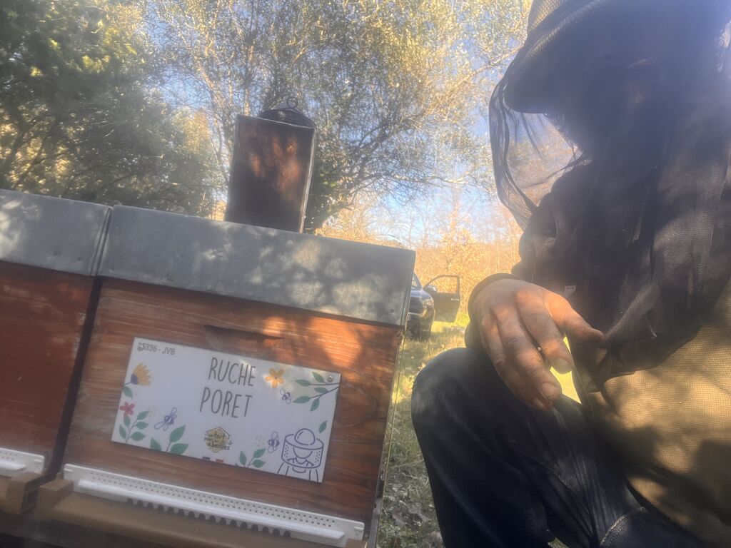 La ruche Poret