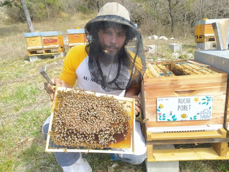 La ruche Poret