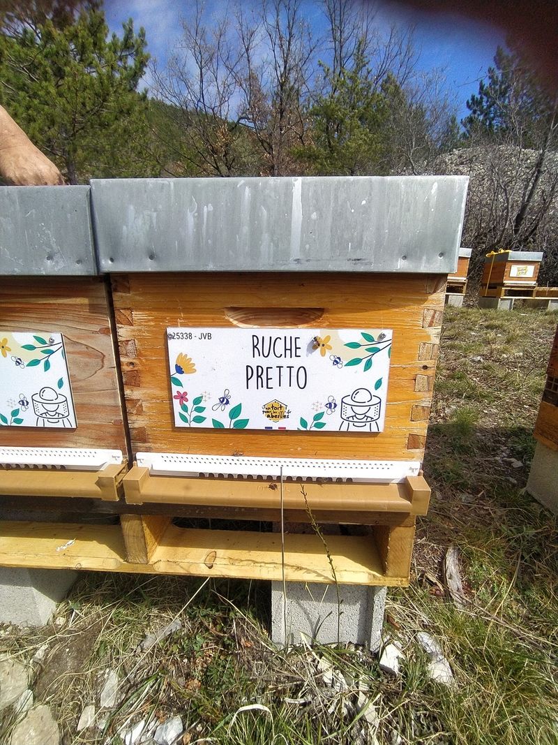 La ruche Pretto