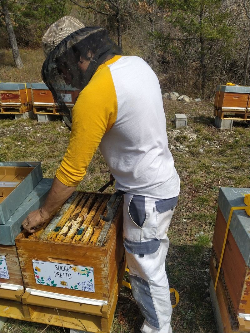 La ruche Pretto