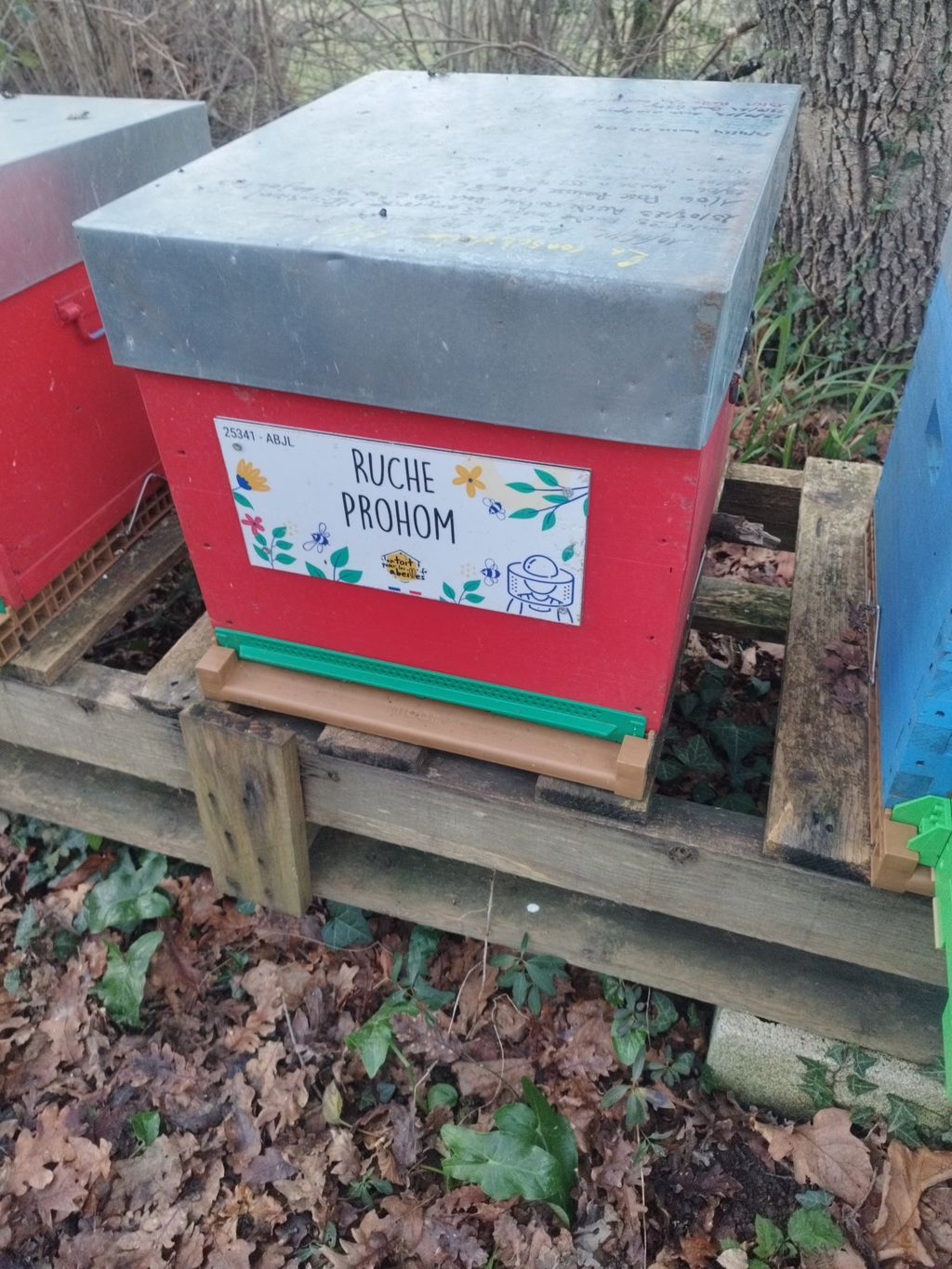 La ruche Prohom