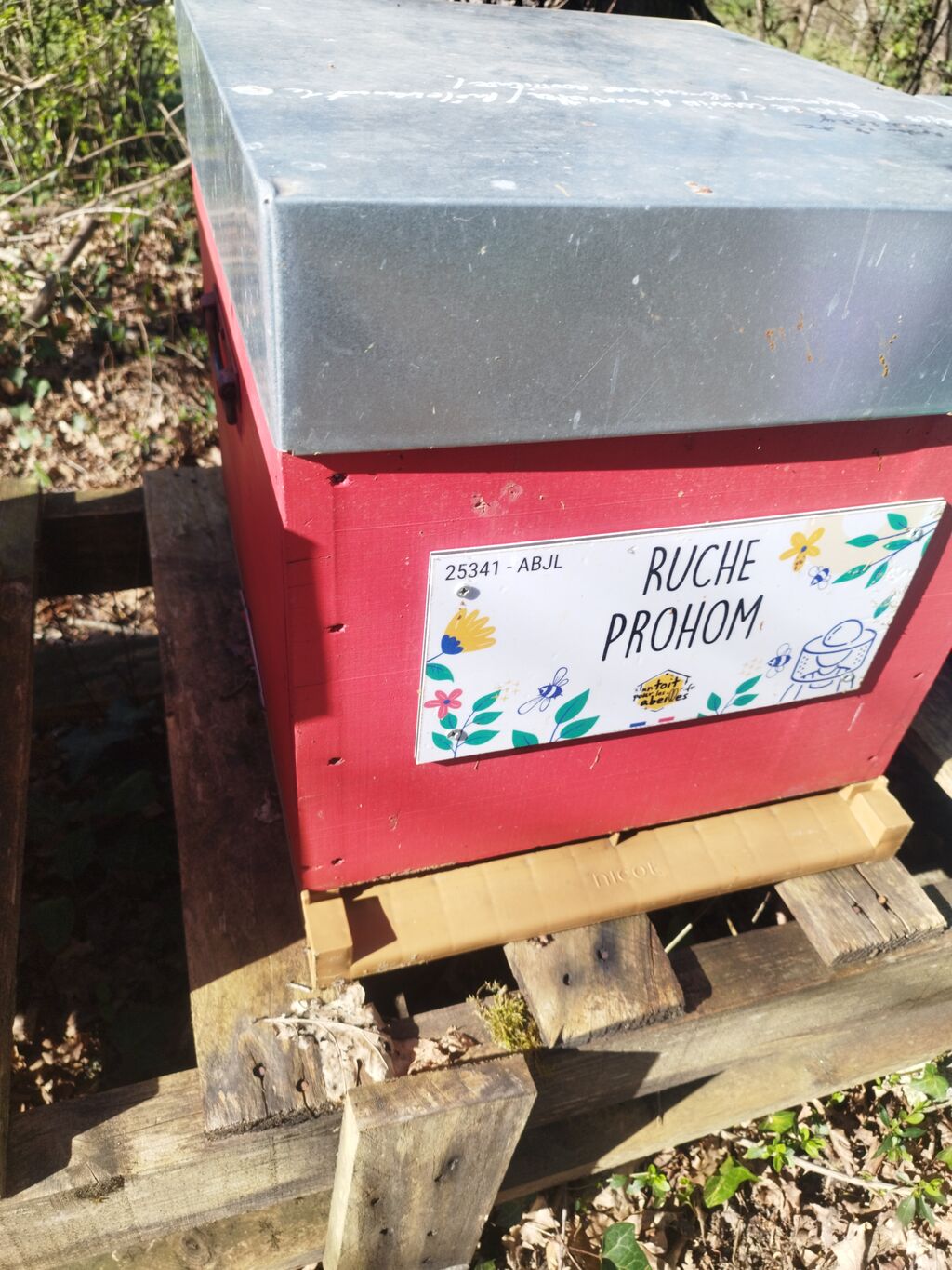 La ruche Prohom