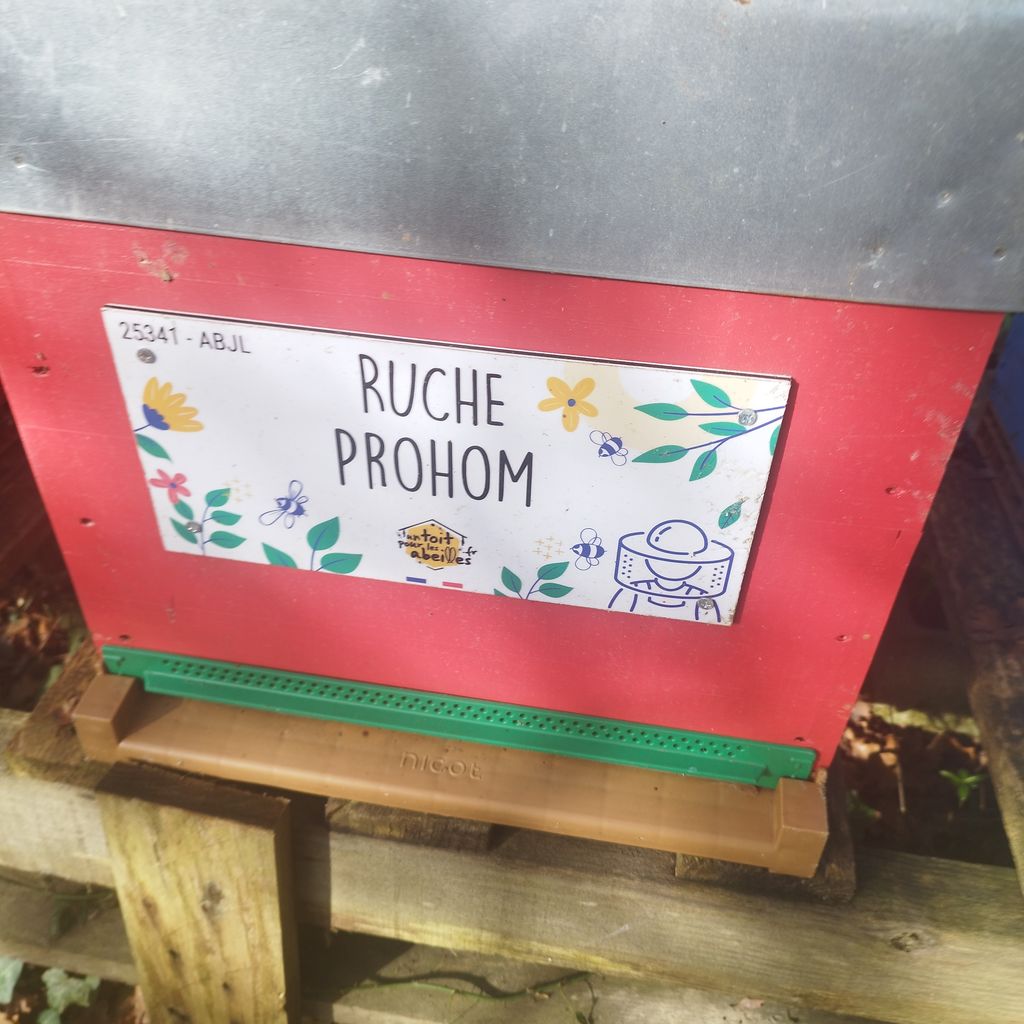 La ruche Prohom