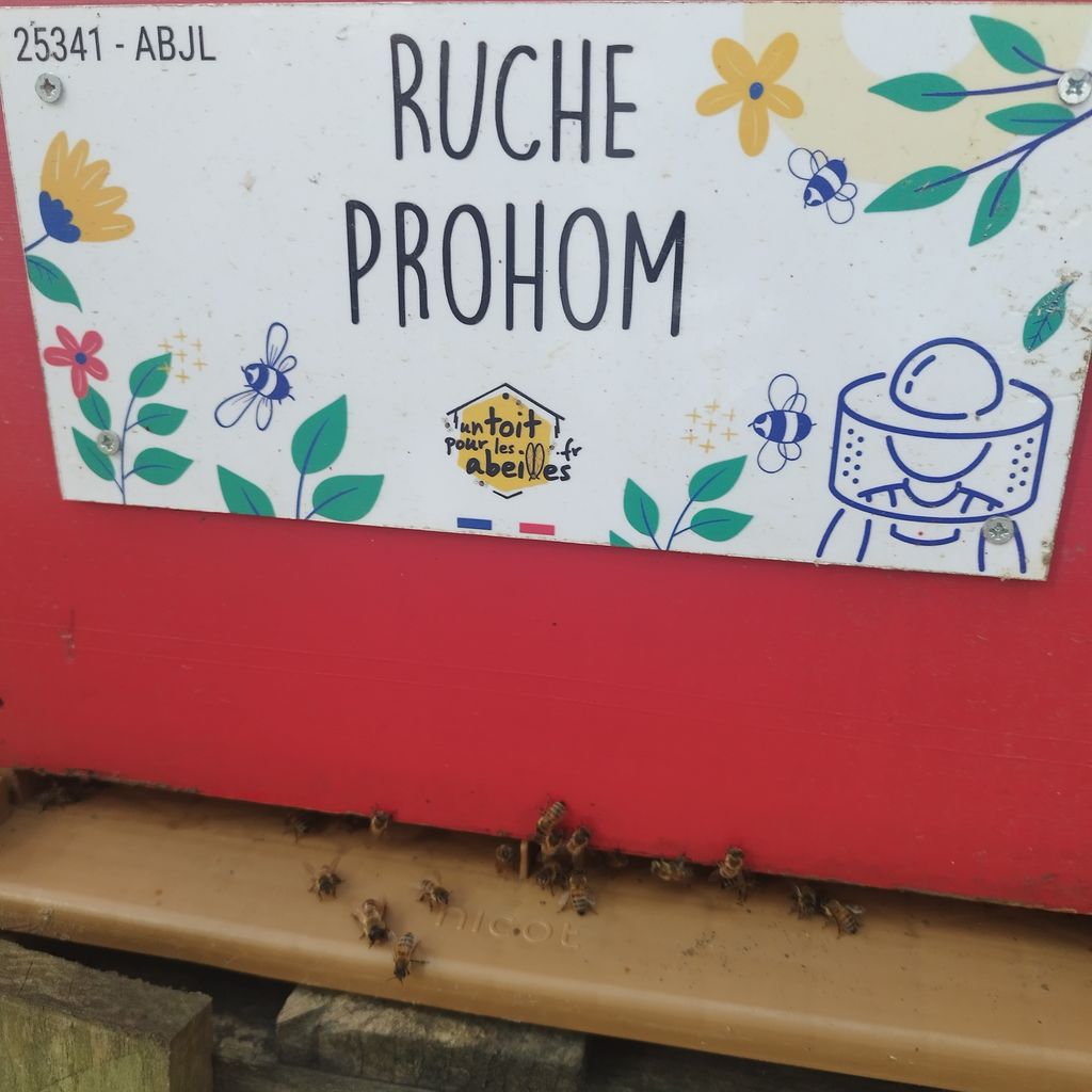La ruche Prohom