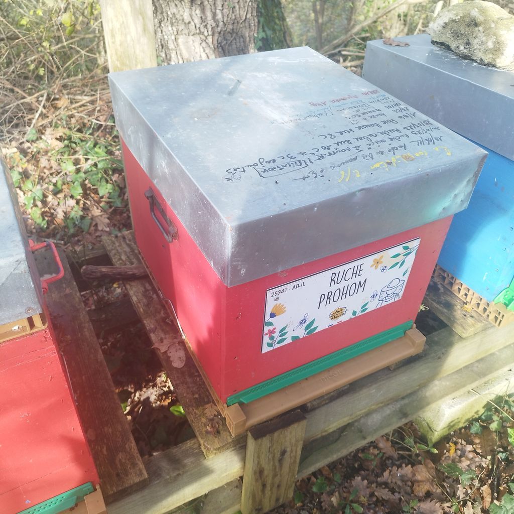 La ruche Prohom