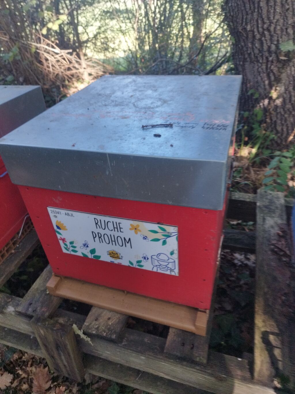 La ruche Prohom