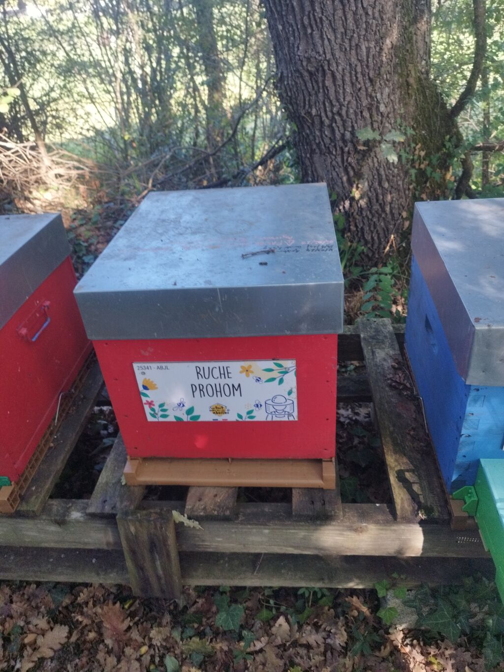 La ruche Prohom