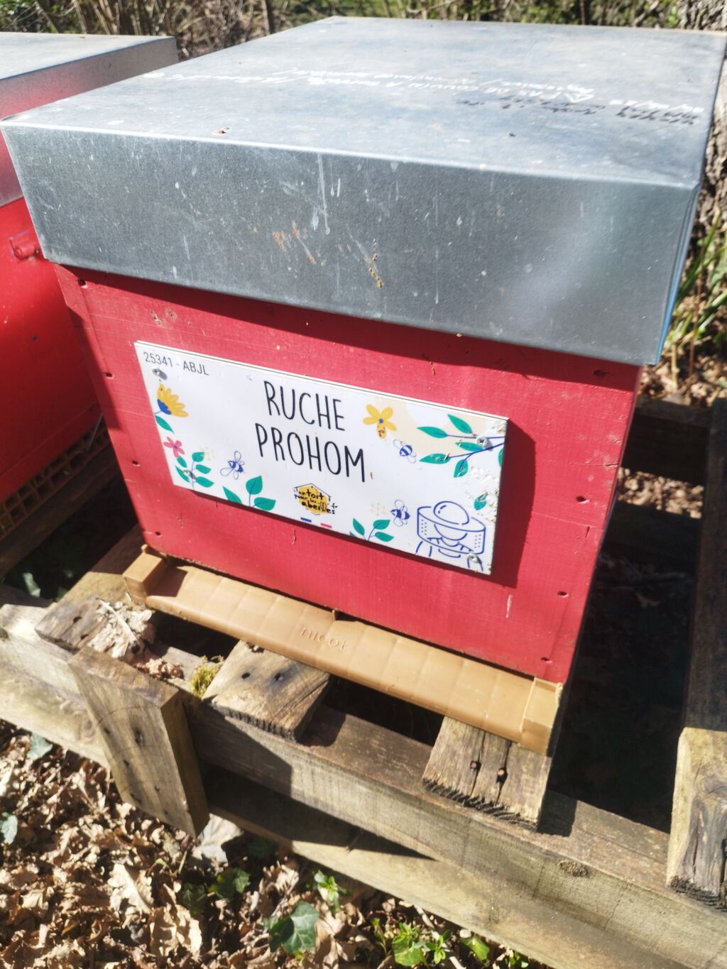 La ruche Prohom