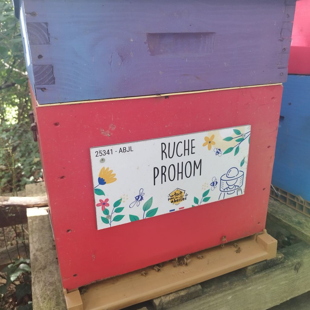 La ruche Prohom