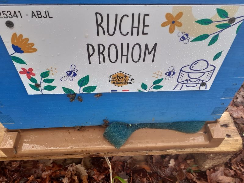 La ruche Prohom