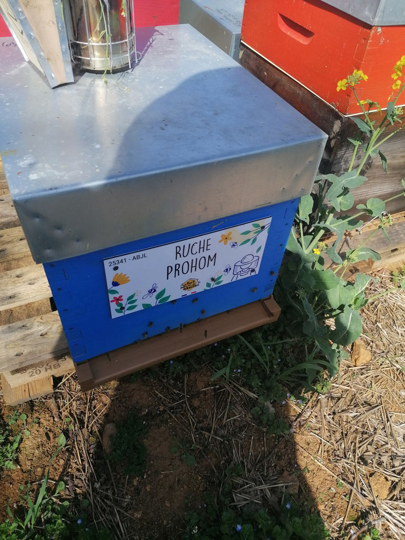 La ruche Prohom