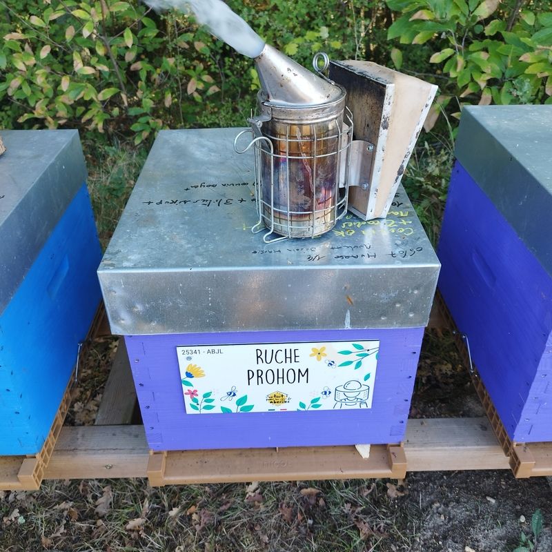 La ruche Prohom