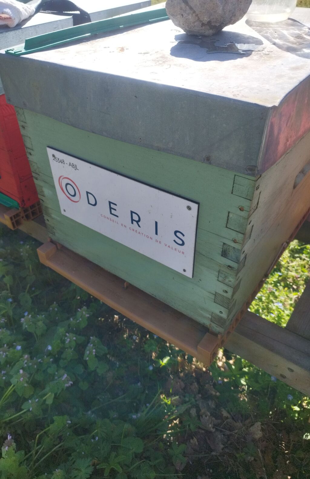 La ruche ODERIS
