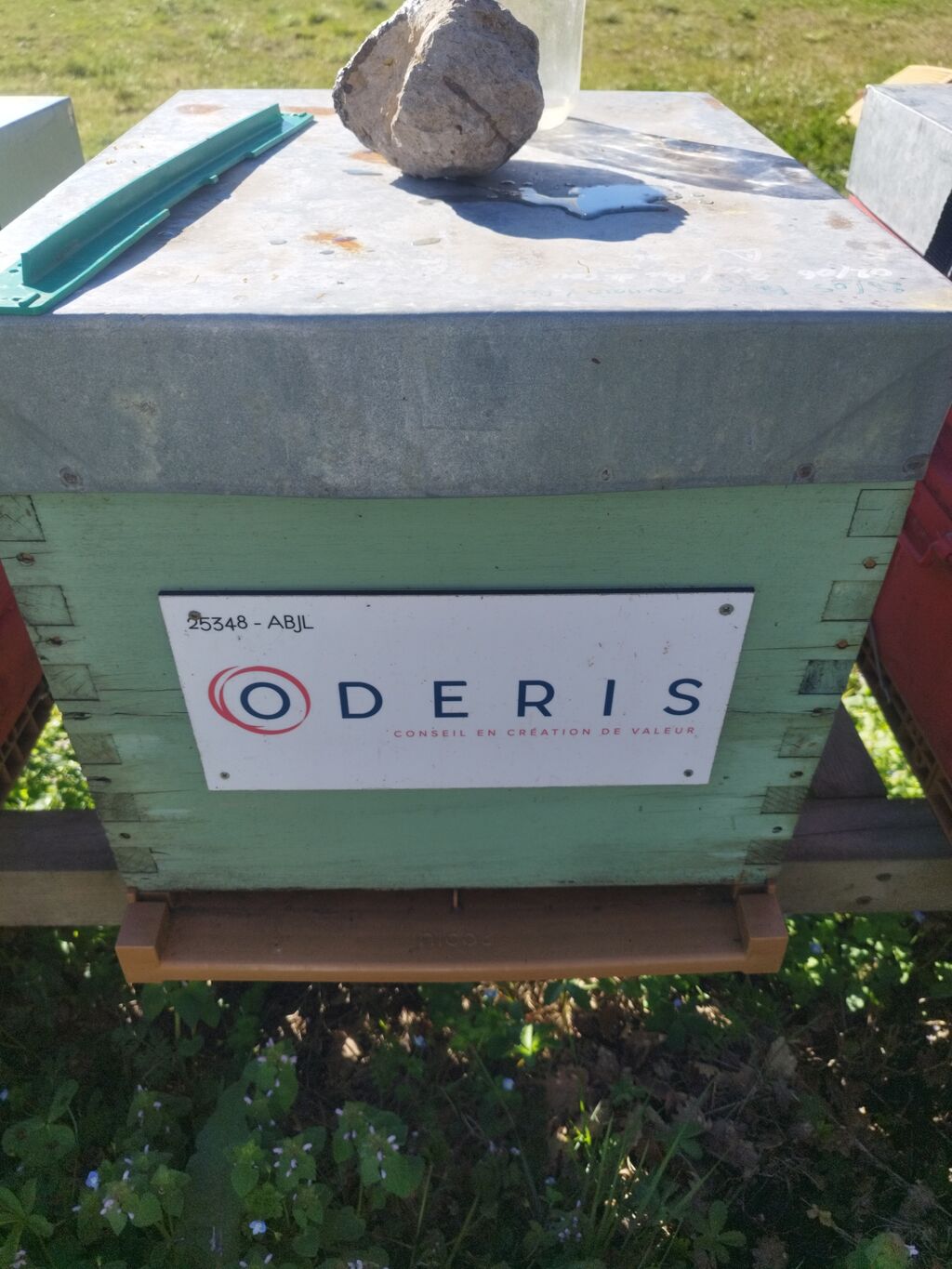 La ruche ODERIS