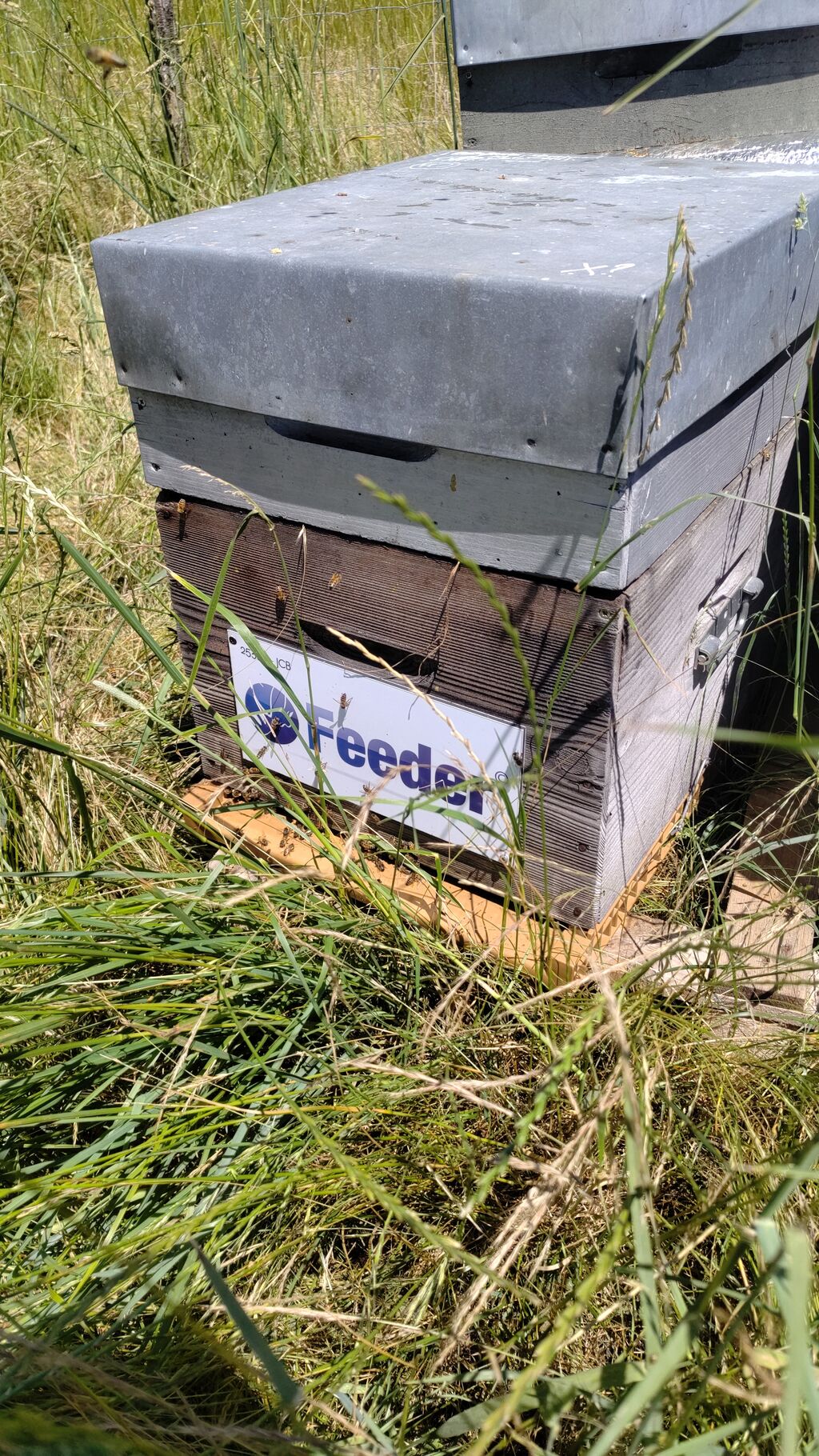 La ruche Feeder