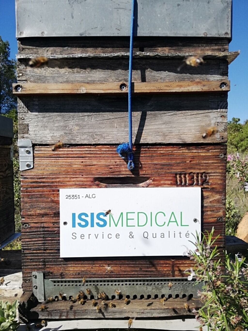 La ruche Isis Languedoc Roussillon