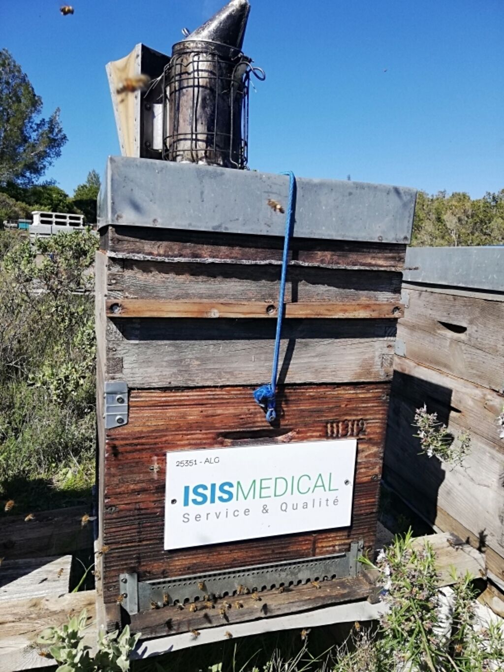 La ruche Isis Languedoc Roussillon