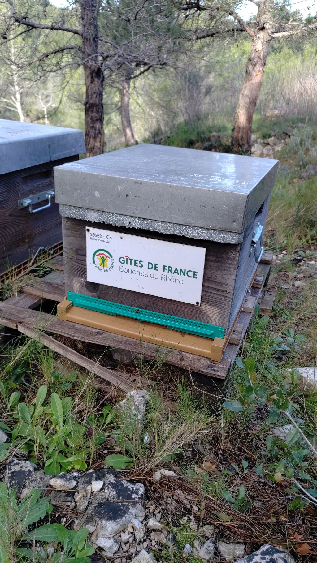 La ruche Gîtes de france bouches du rhône