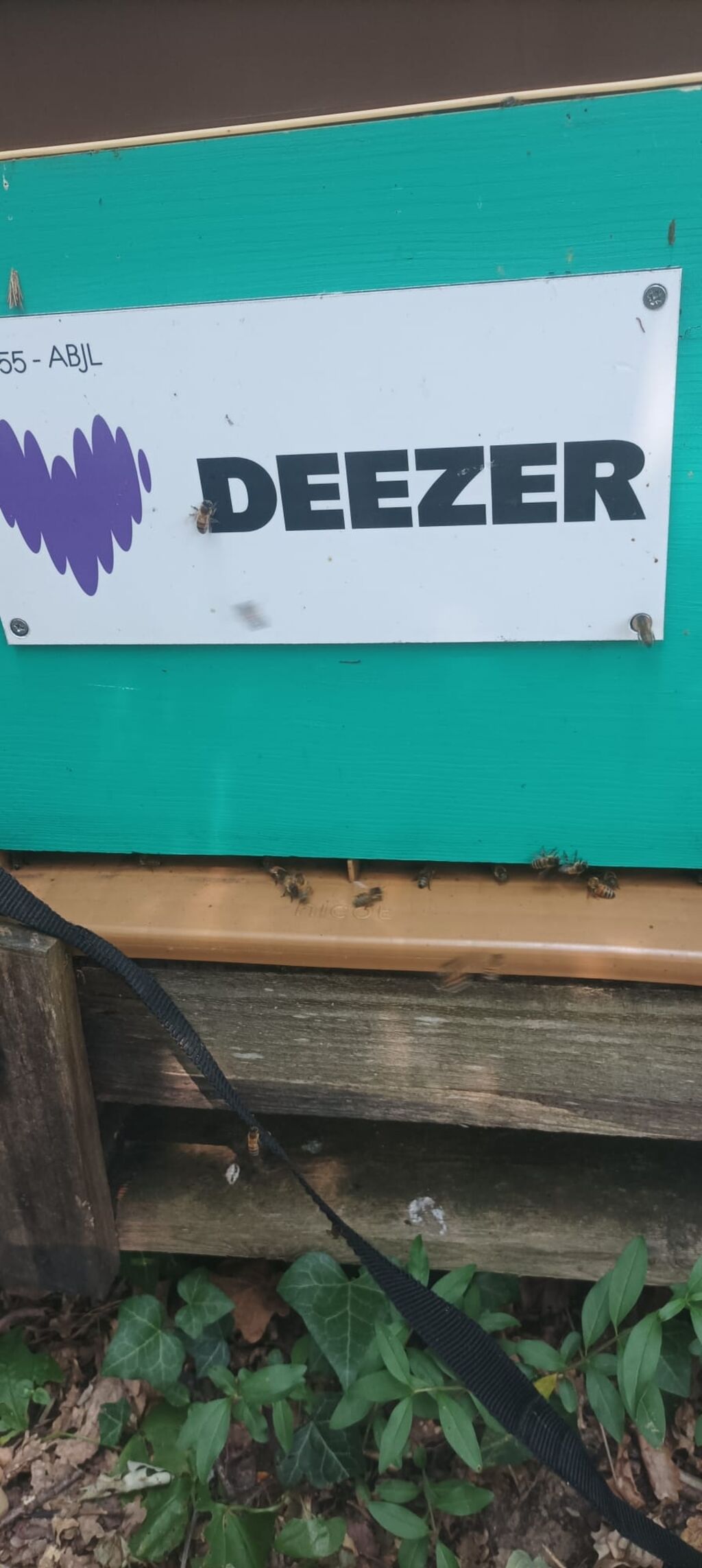 La ruche Deezer sa