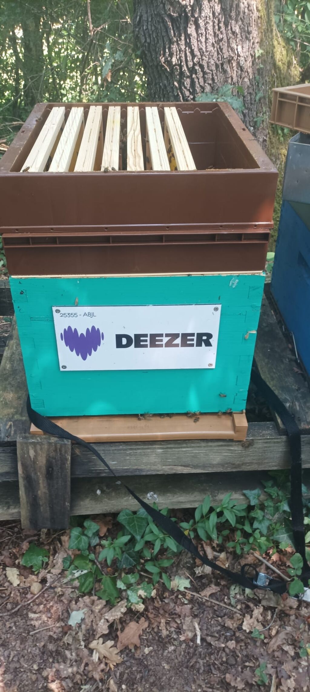 La ruche Deezer sa