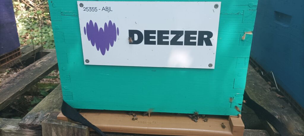 La ruche Deezer sa