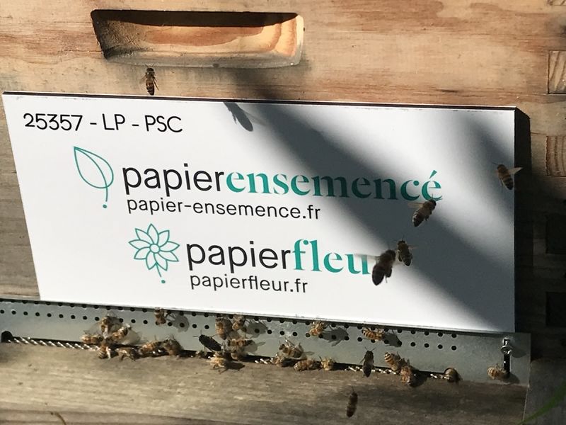 La ruche Papier ensemencé